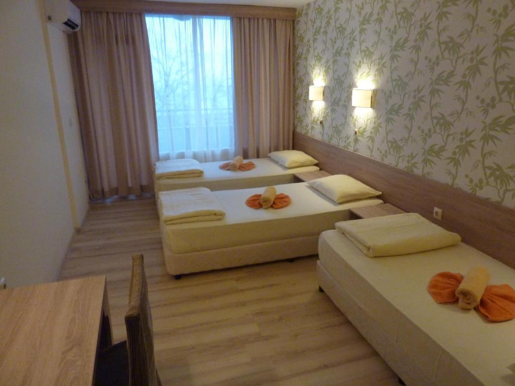 Hotel Zarya Golden Sands Rum bild